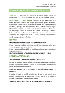 curriculo atualizado