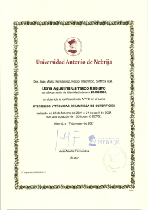 Certificado Universidad Antonio de Nebrija - Curso de Limpieza