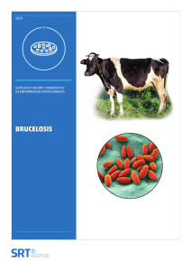Guía de Brucelosis: Diagnóstico y Actuación en Enfermedades Profesionales