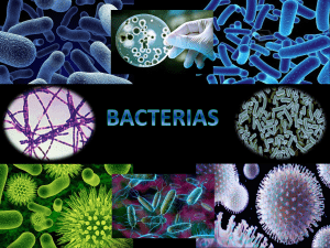 Staphylococcus, Streptococcus, Actinomyces y Lactobacillus: Resumen