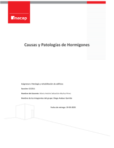 Causas y Patolog&iacute;as del Hormig&oacute;n: An&aacute;lisis y Prevenci&oacute;n