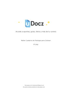 Netter Fisiolog&iacute;a para Colorear: Cuaderno de Estudio