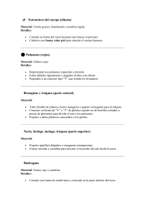 Instrucciones Modelo Sistema Respiratorio