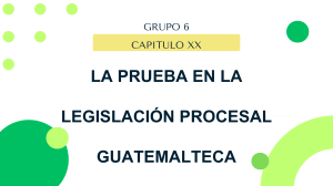 La Prueba en la Legislaci&oacute;n Procesal Guatemalteca