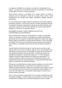 Próstata, eyaculación y salud: ¿Qué dice la ciencia?
