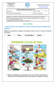 Ciclo de Vida: Guía de Ciencias Naturales para 2° Básico