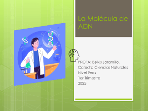 La Mol&eacute;cula de ADN: Presentaci&oacute;n Educativa para 9no Grado