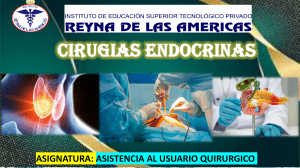 Cirugías Endocrinas: Asistencia al Usuario Quirúrgico