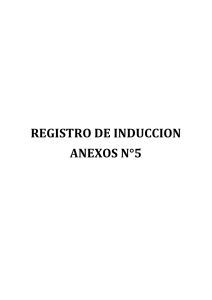 Registro Inducci&oacute;n y Capacitaci&oacute;n en Seguridad - HUDBAY PERU
