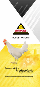 Bovans White Layer Product Guide: Rearing & Production