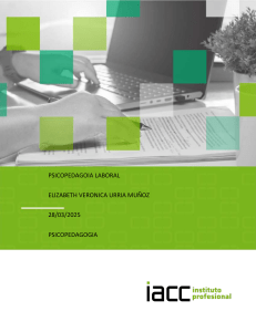 Psicopedagog&iacute;a Laboral: Aporte Empresarial y Funciones