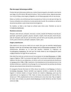 Árbol del Pan: Origen, Cultivo y Usos (Artocarpus altilis)