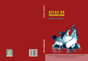 Atlas de Patolog&iacute;a Aviar: Enfermedades y Diagn&oacute;stico