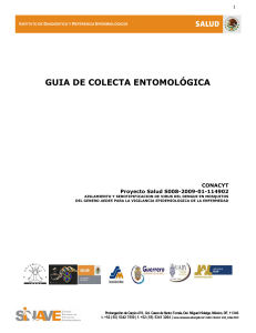 Gu&iacute;a de Colecta Entomol&oacute;gica: Vigilancia del Dengue