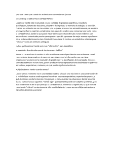 Corteza Frontal y Percepción: Estímulos No Evidentes