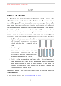 Replicación del ADN: Experimento de Meselson-Stahl
