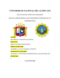 Tratados Lim&iacute;trofes del Per&uacute;: An&aacute;lisis y Convenios