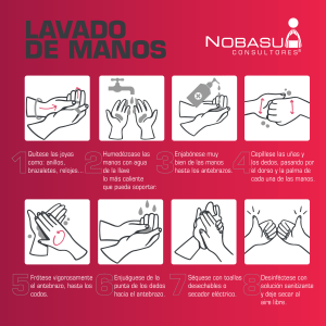 Lavado de Manos: Gu&iacute;a Paso a Paso para una Higiene Correcta