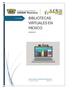 Bibliotecas Virtuales en M&eacute;xico: Ensayo Acad&eacute;mico