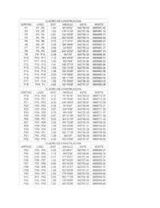 Datos de Construcci&oacute;n: V&eacute;rtices, Lados y Coordenadas