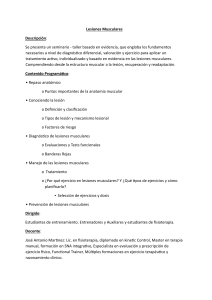 Lesiones Musculares: Seminario-Taller para Fisioterapeutas