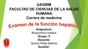 Función Hepática: Pruebas, Patologías y Caso Clínico