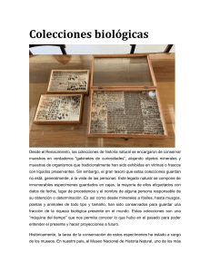 Colecciones Biol&oacute;gicas PUCV: Biodiversidad Chilena