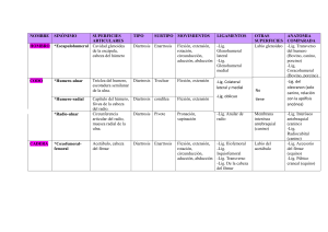 Anatom&iacute;a Articular: Tabla Comparativa de Articulaciones Animales