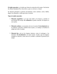 Tejido Muscular: Tipos, Funciones y Caracter&iacute;sticas