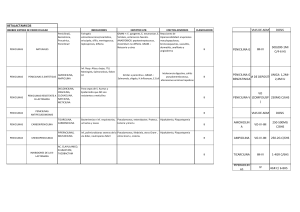 Guía de Antibióticos Beta-Lactámicos