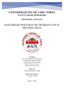 An&aacute;lisis de Posturas de Trabajo OWAS: Estudio de Ergonom&iacute;a