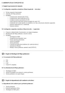 Cardiopat&iacute;as Cong&eacute;nitas: Clasificaci&oacute;n y Tipos Comunes