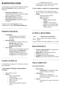 Bartonelosis: Fisiopatolog&iacute;a, Cl&iacute;nica, Diagn&oacute;stico y Tratamiento