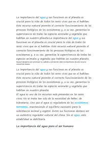 Importancia del Agua: Funciones y Beneficios para la Vida
