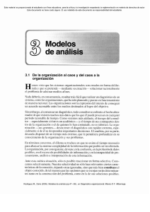 Modelos de An&aacute;lisis Organizacional: Del Caos a la Organizaci&oacute;n