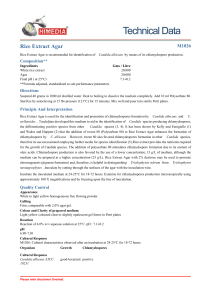 Rice Extract Agar Technical Data Sheet | HiMedia