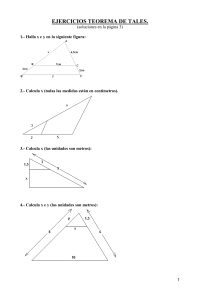 Ejercicios Teorema de Tales con Soluciones