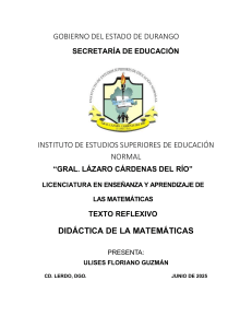 Did&aacute;ctica de las Matem&aacute;ticas: Texto Reflexivo