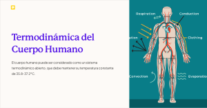 Termodin&aacute;mica del Cuerpo Humano