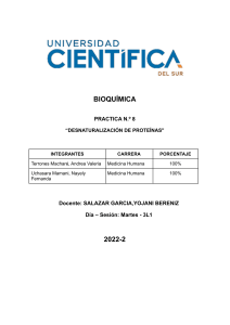 Desnaturalización de Proteínas: Informe de Laboratorio de Bioquímica