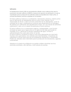 Sulfonaci&oacute;n: Proceso y Diagrama de Flujo de Planta