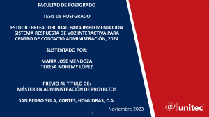 Tesis: Sistema IVR para Administración Tributaria