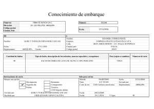 Conocimiento de Embarque: Fibra de Alpaca a Italia