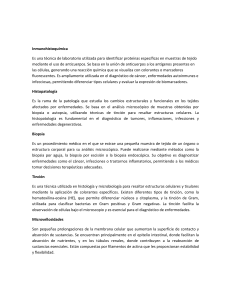 Glosario de Histología e Inmunohistoquímica