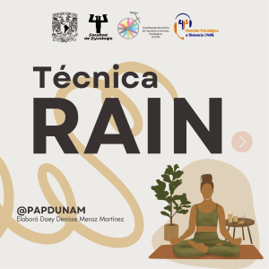 T&eacute;cnica RAIN: Mindfulness y Gesti&oacute;n Emocional