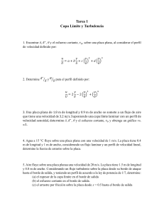 Tarea Capa Límite y Turbulencia: Problemas Resueltos
