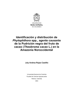 Phytophthora spp. en Cacao: Estudio Amazon&iacute;a