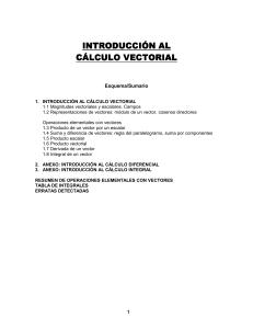 Introducci&oacute;n al C&aacute;lculo Vectorial