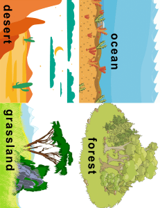 Biomas: Oc&eacute;ano, Desierto, Bosque, Pradera