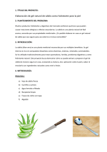 Gel de S&aacute;bila Casero: Hidratante Natural para la Piel
